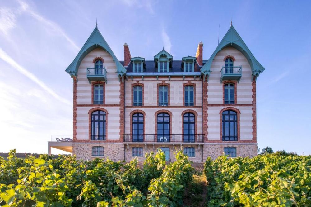 Chateau de Sacy - Hôtel image 1