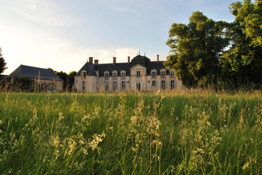 Chateau La Touanne Loire valley - Hôtel image 1