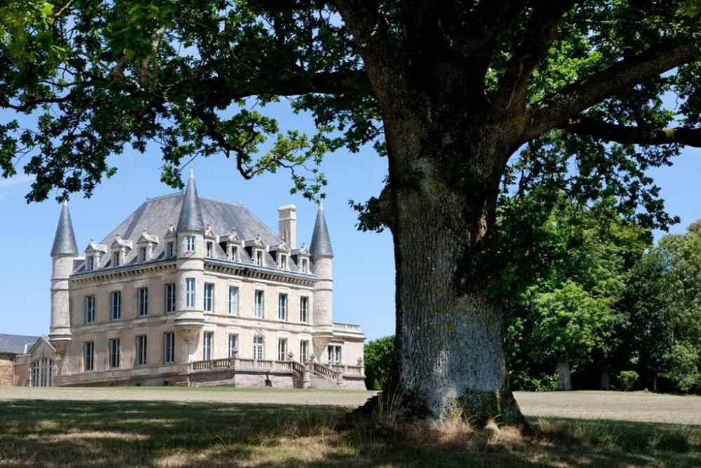 Chateau De La Goujonnerie - Hôtel image 1